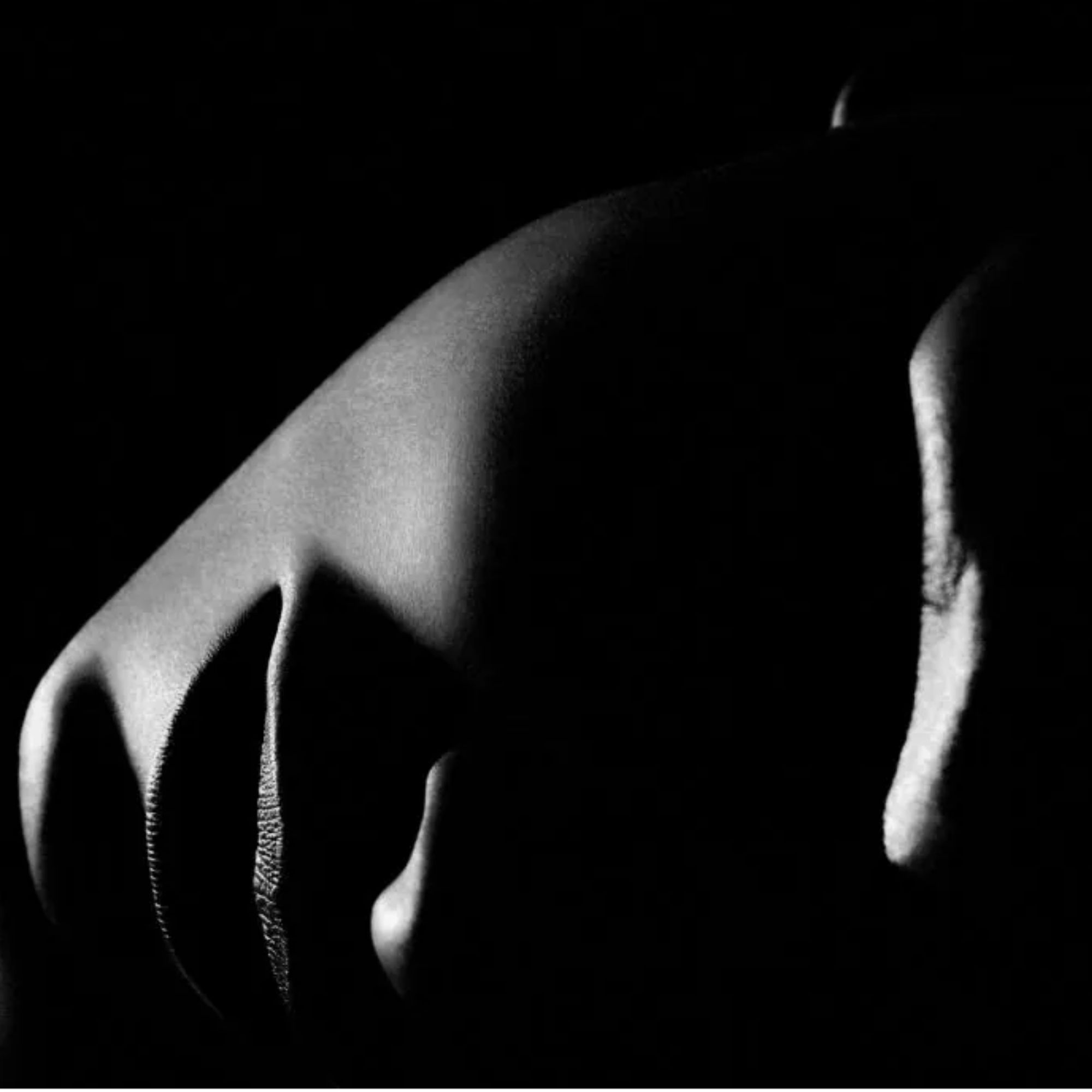 Print Philippe Vogelenzang - La Nuit